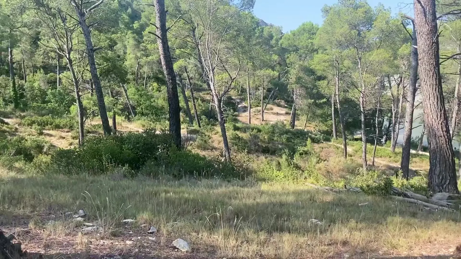 Meditazione con Sara